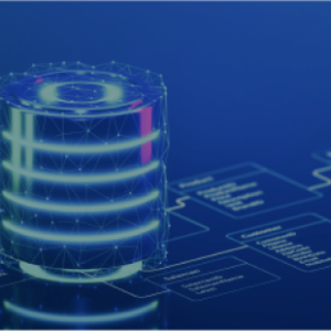 Foundation of WordPress